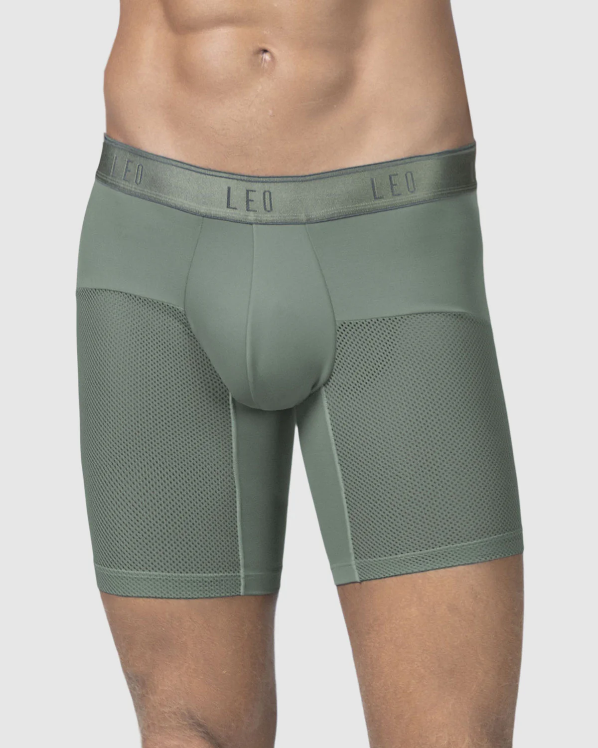 Leo Advanced Mesh Boxer Brief - Image 14